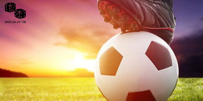 Kèo Châu Âu - Cập Nhất Mới Nhất Về Dành Cho Tân Hội Viên